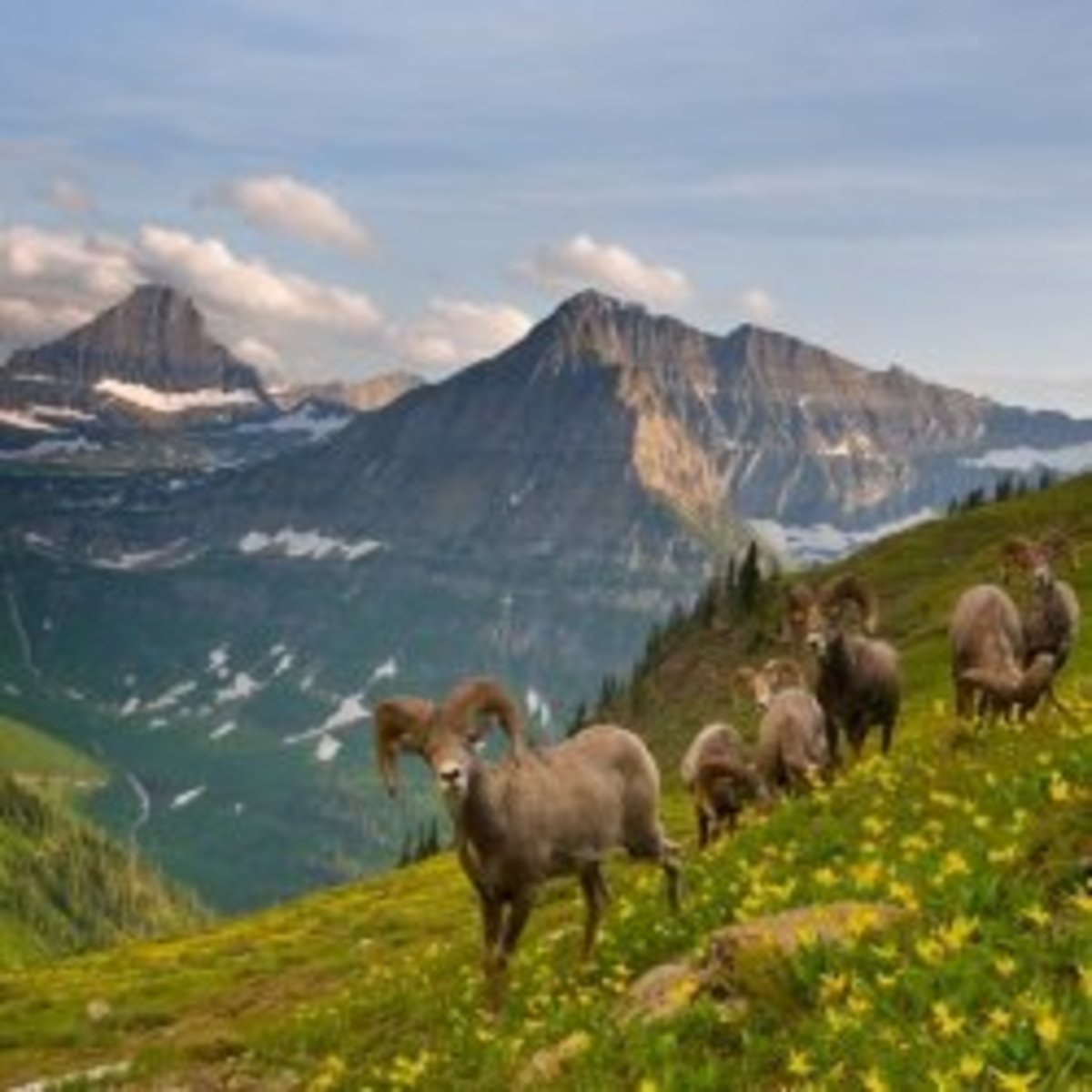 Why is Montana so amazing? hubpages