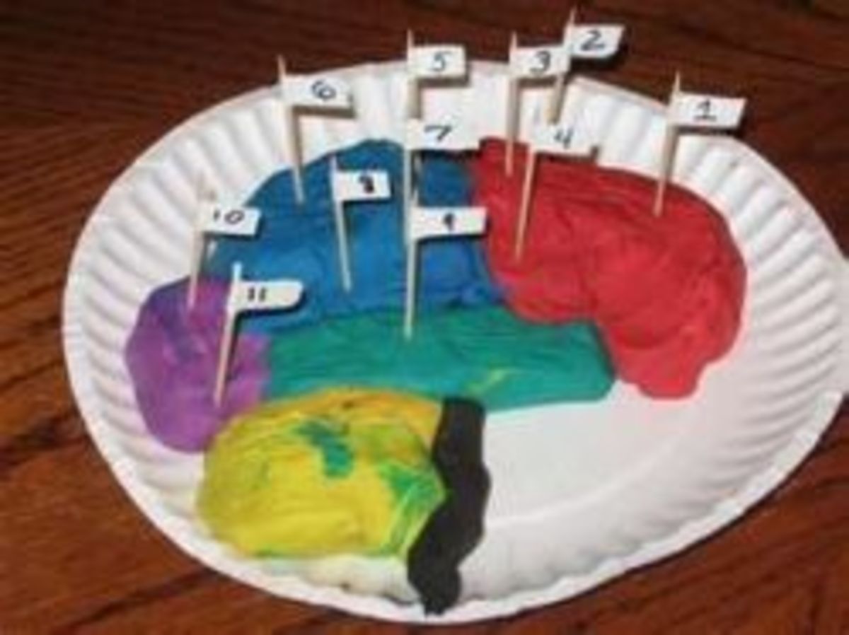 Nervous System Lesson HubPages