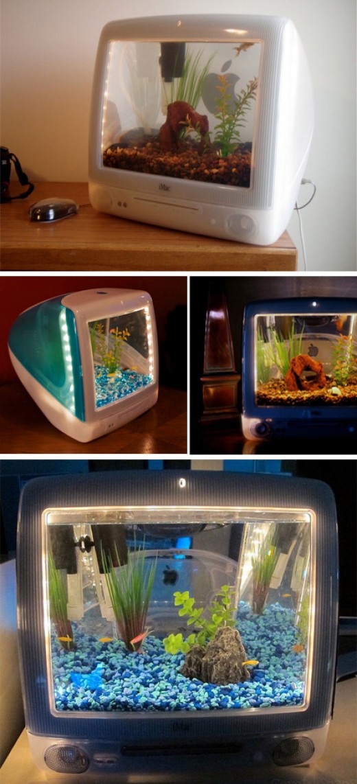 Top 10 Most Creative and Unique Fish Tanks hubpages