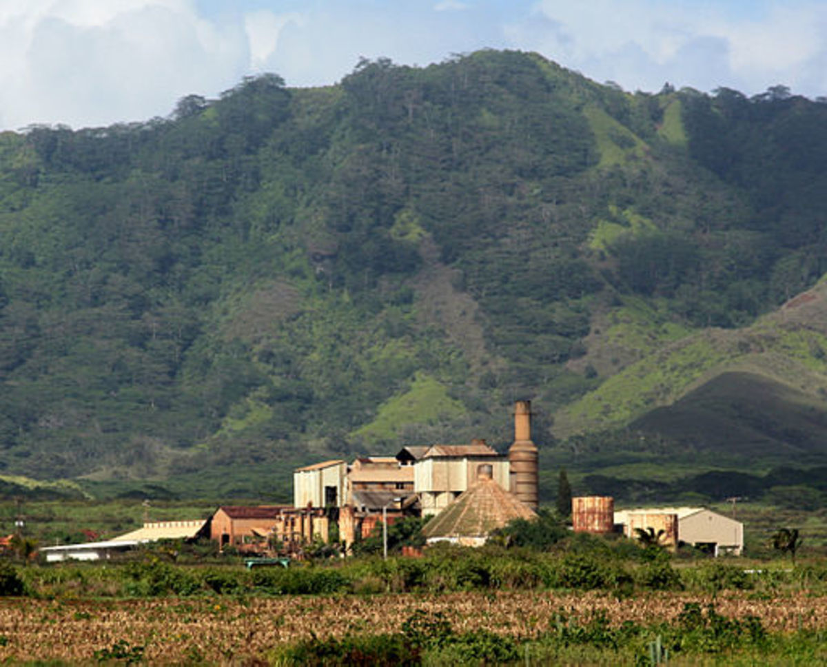 The First Hawaiian Sugar Plantation was a Failure HubPages