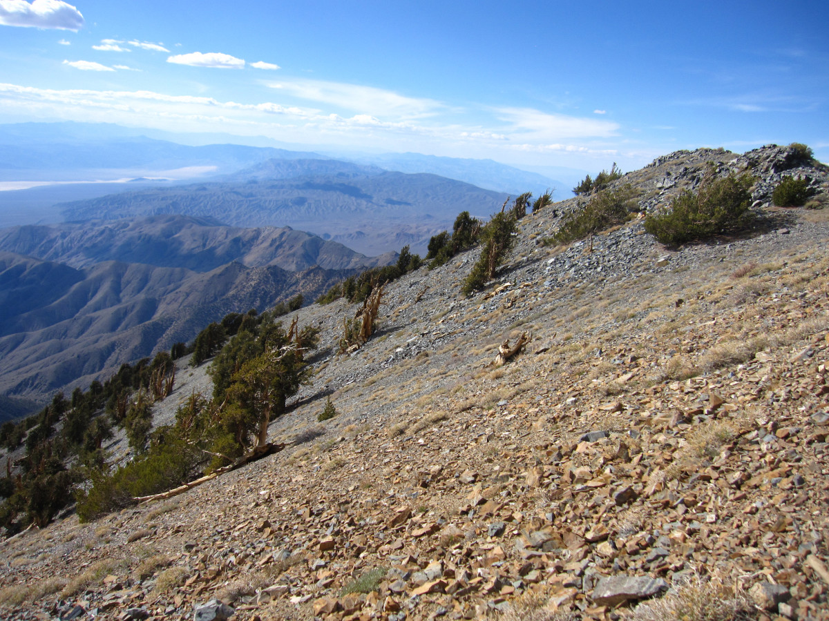 Ballarat A California Ghost Town HubPages