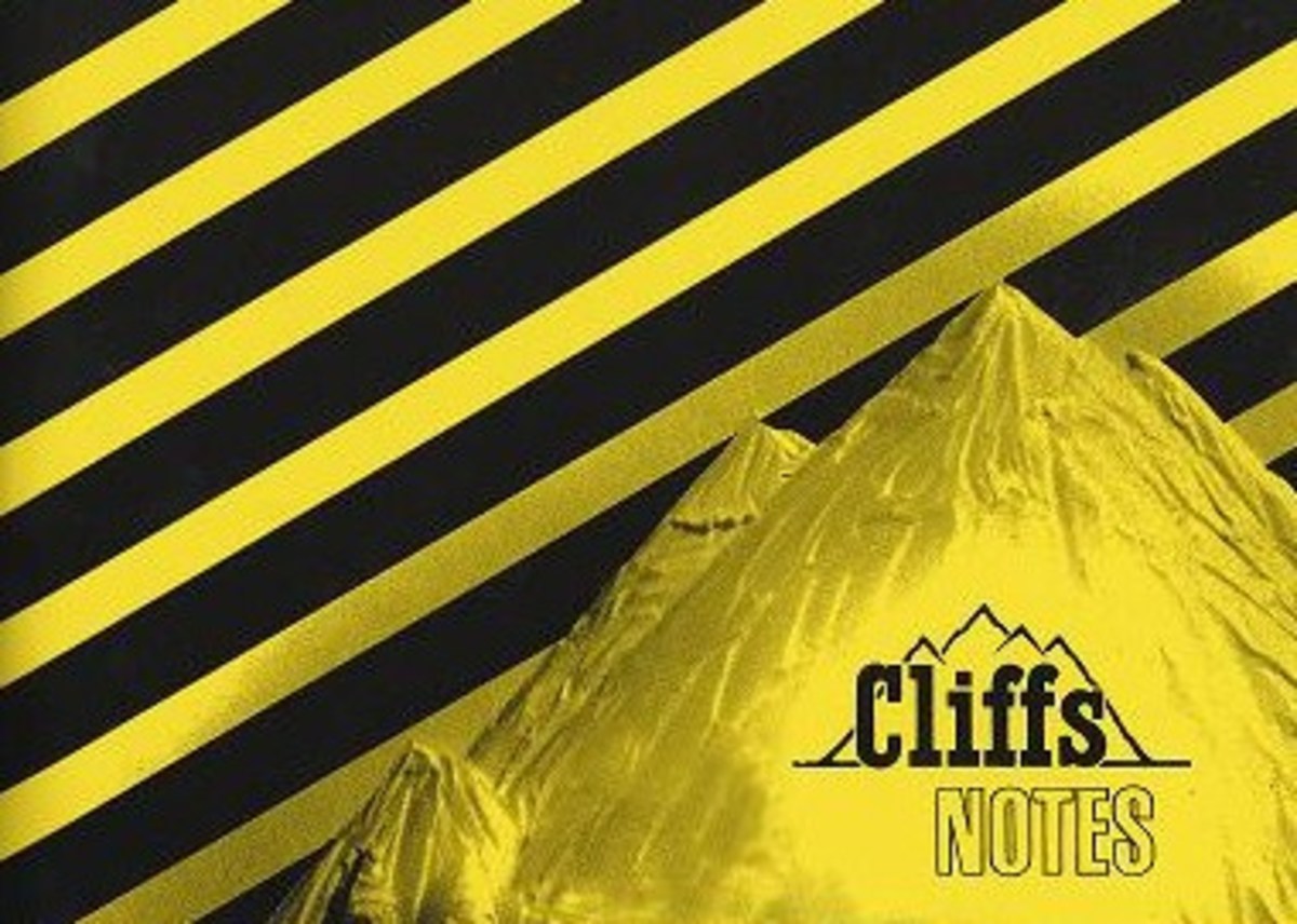 The Use and Abuse of Cliff's Notes HubPages