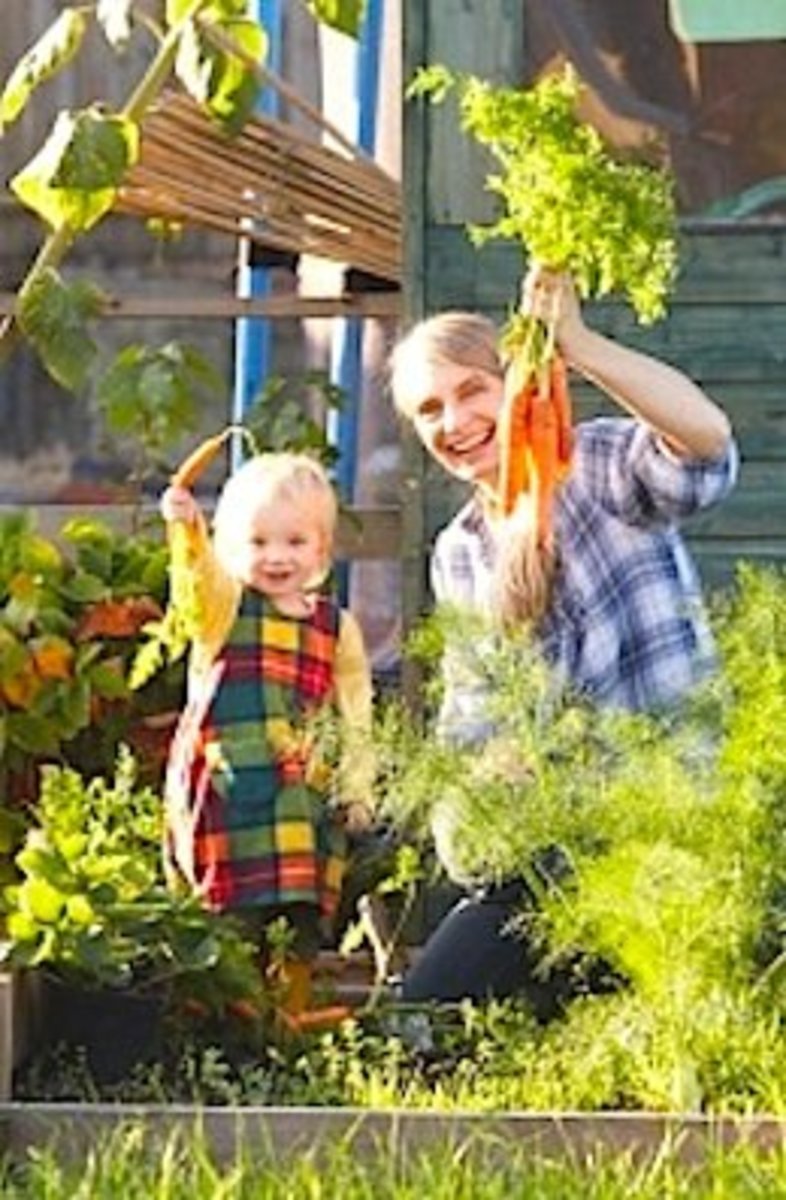 101 Gardening Secrets Experts Never Tell You HubPages
