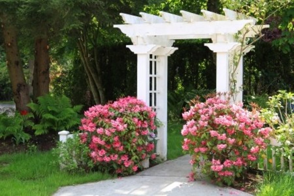 10 Garden Decorating Ideas!