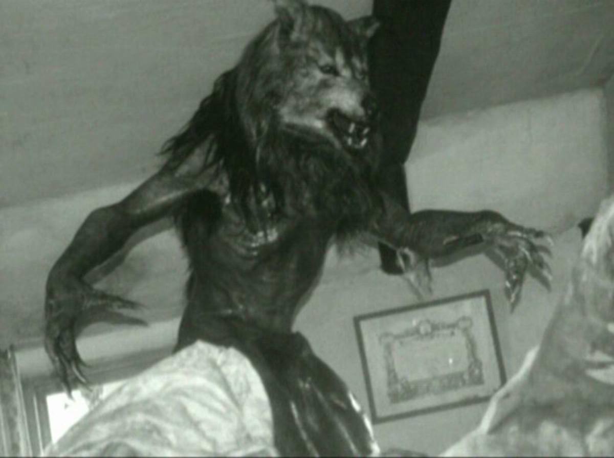 Michigan Dogman Sightings The Gable Film hubpages