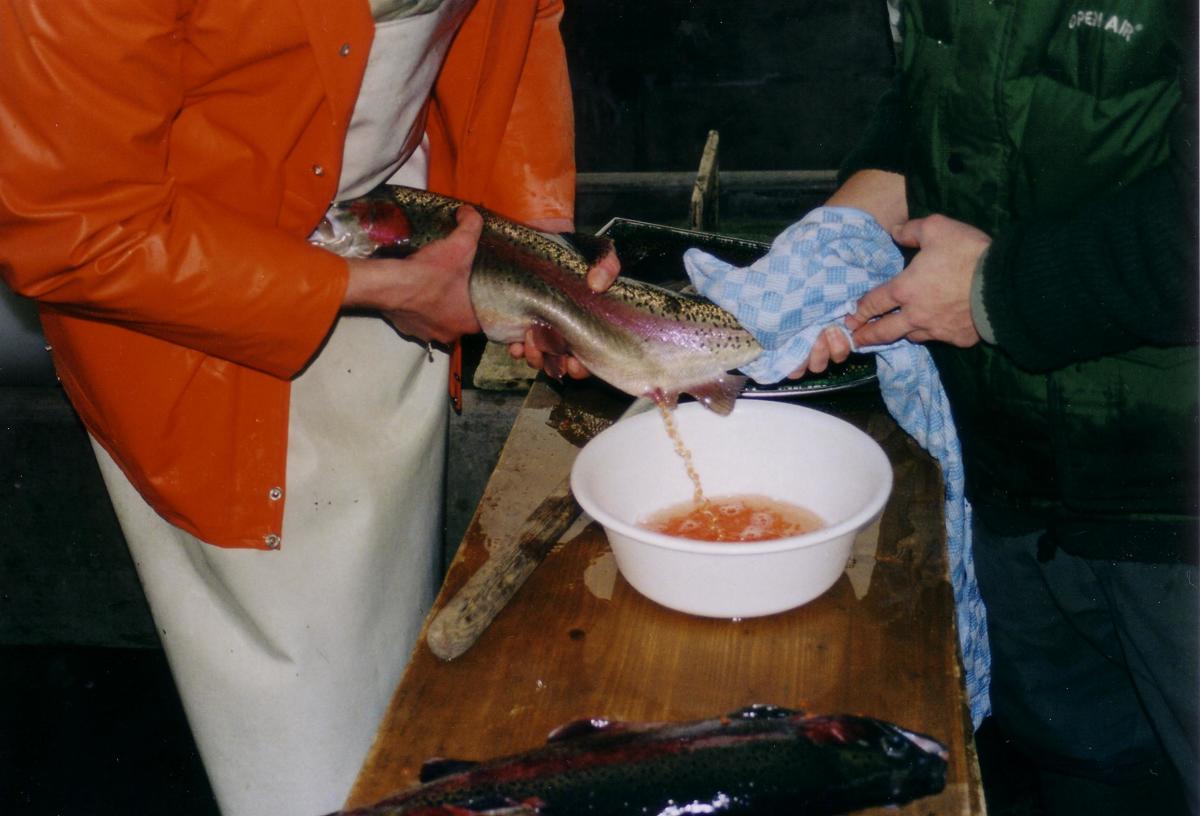 Sustainable Fish Farming (Homestead Aquaculture) HubPages