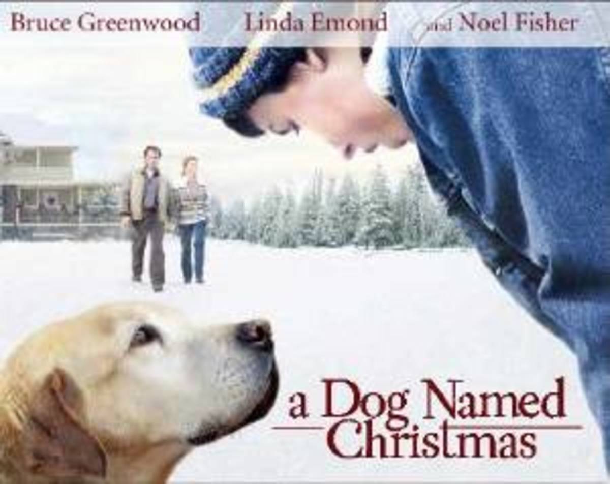The Best Christmas Movies Featuring Dogs! HubPages