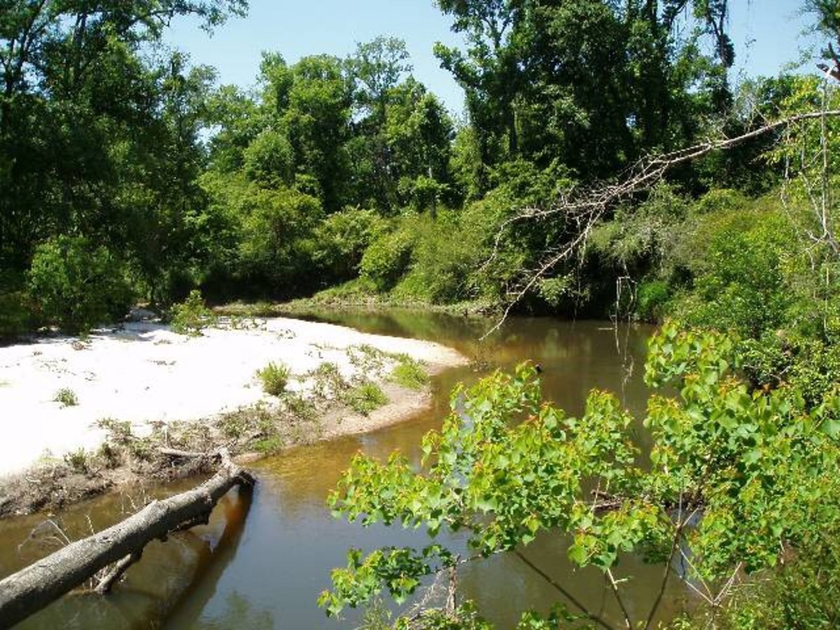 Canoeing the Tchefuncte River HubPages