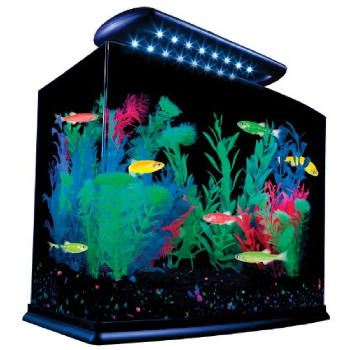 Best Fish Tank Kits and Aquariums HubPages
