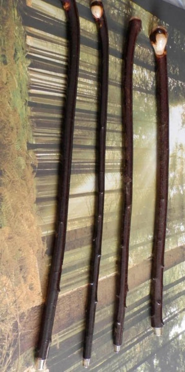 How to Make a Blackthorn Walking Stick from the Prunus Spinosa Bush