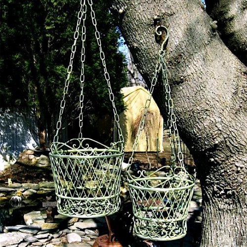 How to Plant a Pansy Flower Hanging Basket HubPages