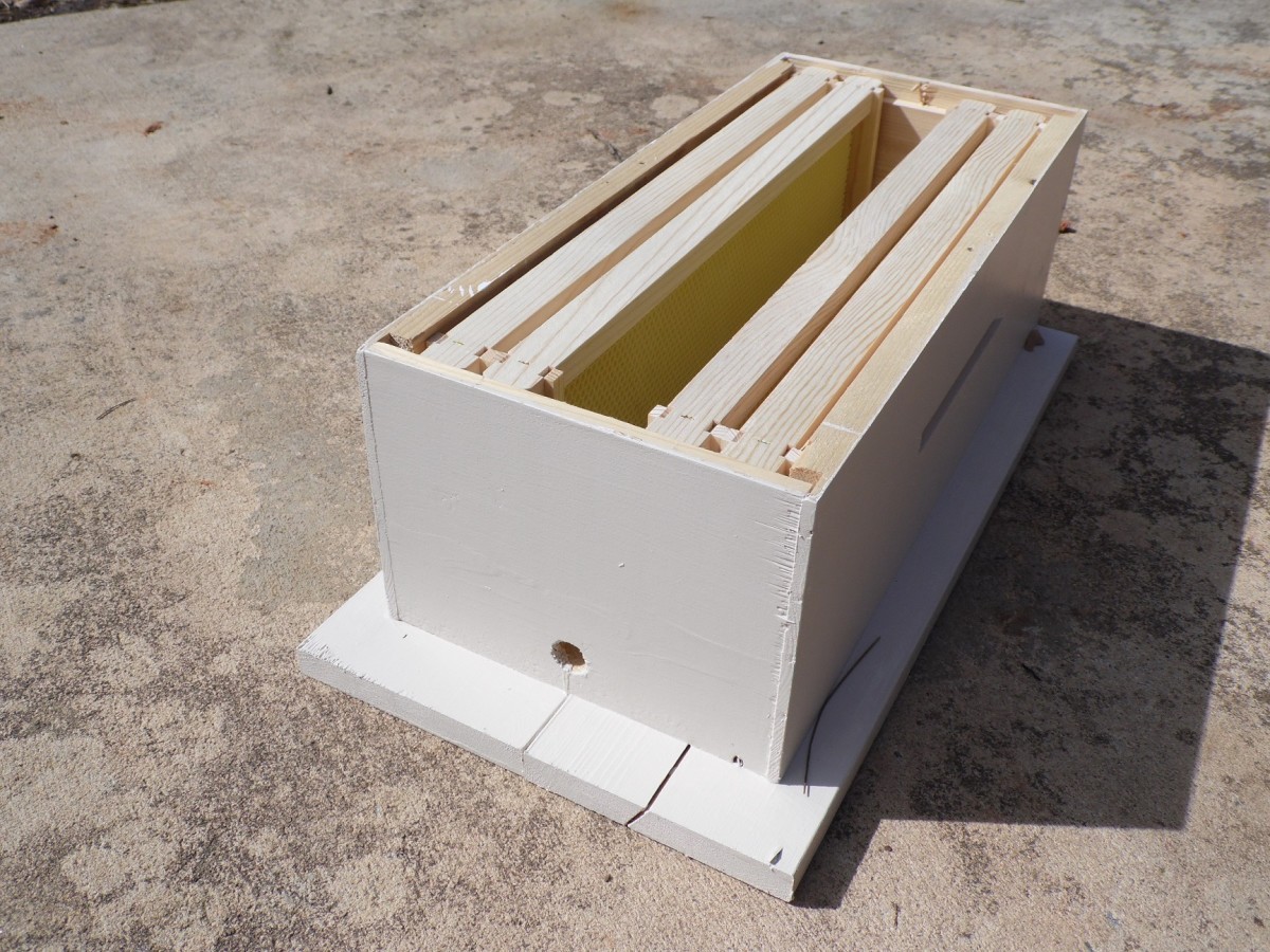 Setting Up a Swarm Trap for Honey Bees Dengarden