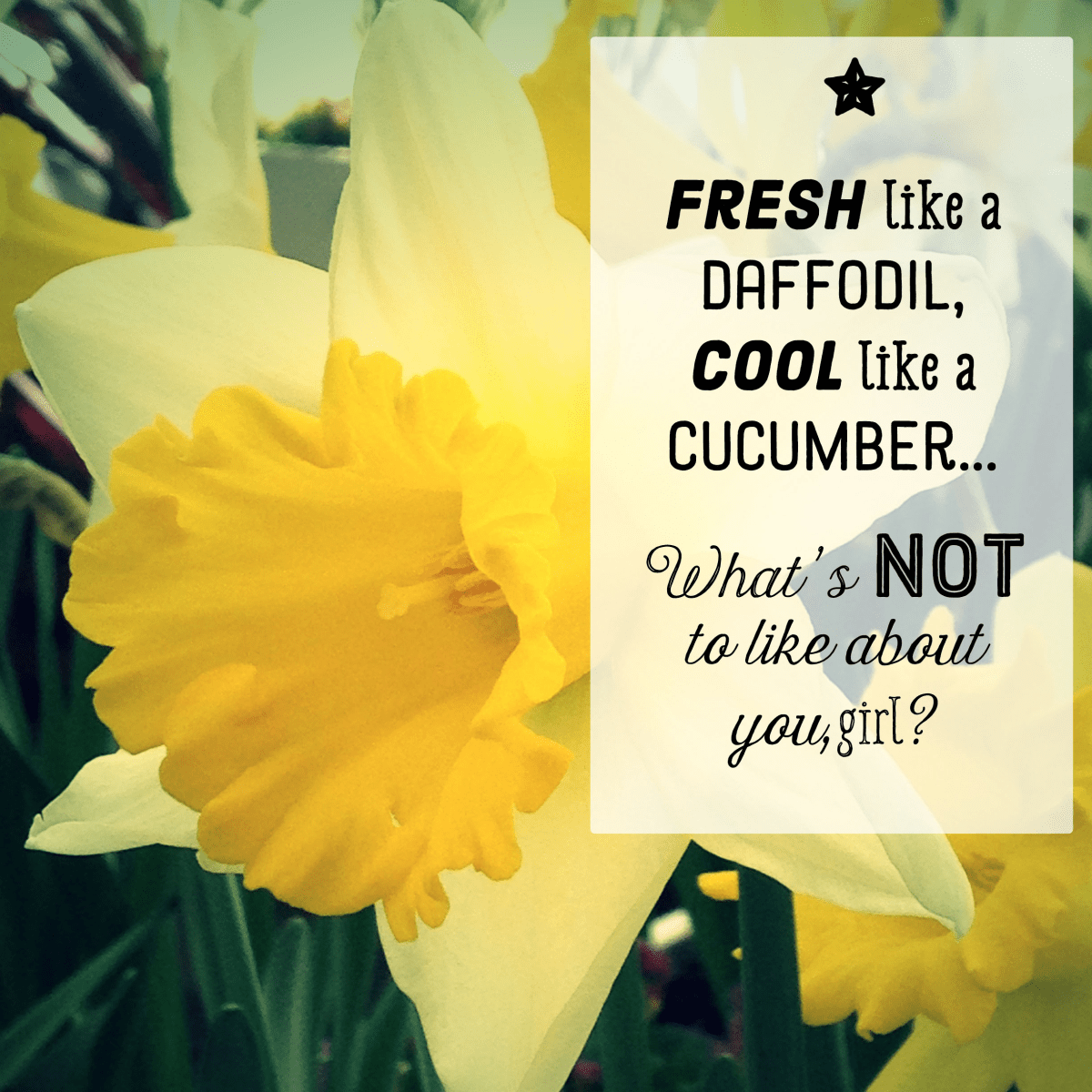 'I Like You' Poems Short Rhymes and Messages for Guys and Girls