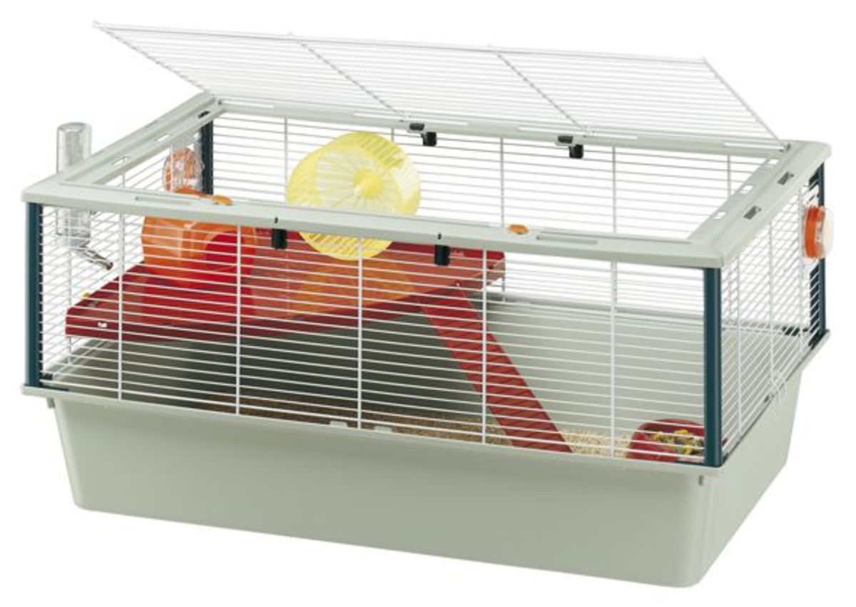Cage Rage in Hamsters The Complete Guide PetHelpful