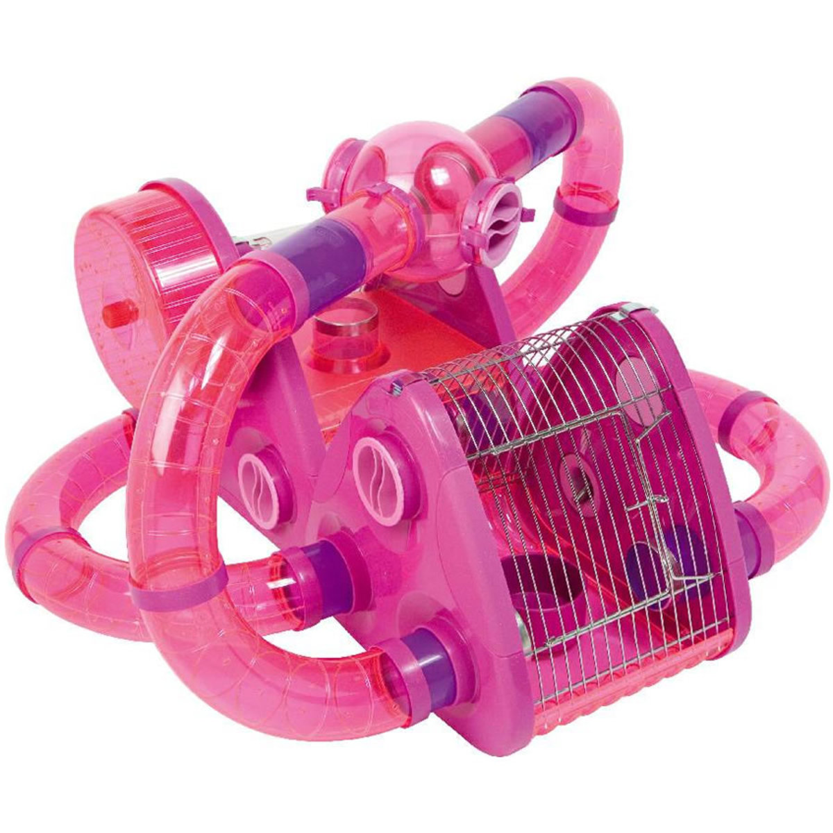 Cage Rage in Hamsters The Complete Guide PetHelpful