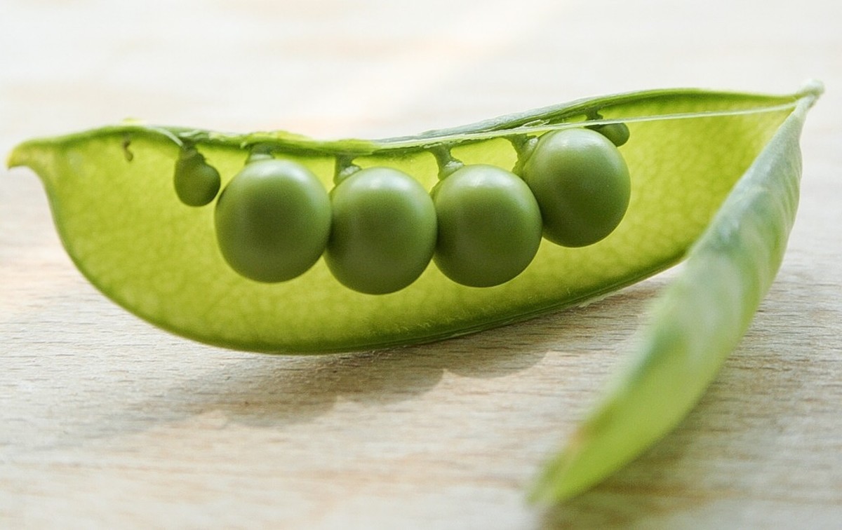 Green Peas Varieties, Nutrition Facts, Recipes, and Poems Delishably