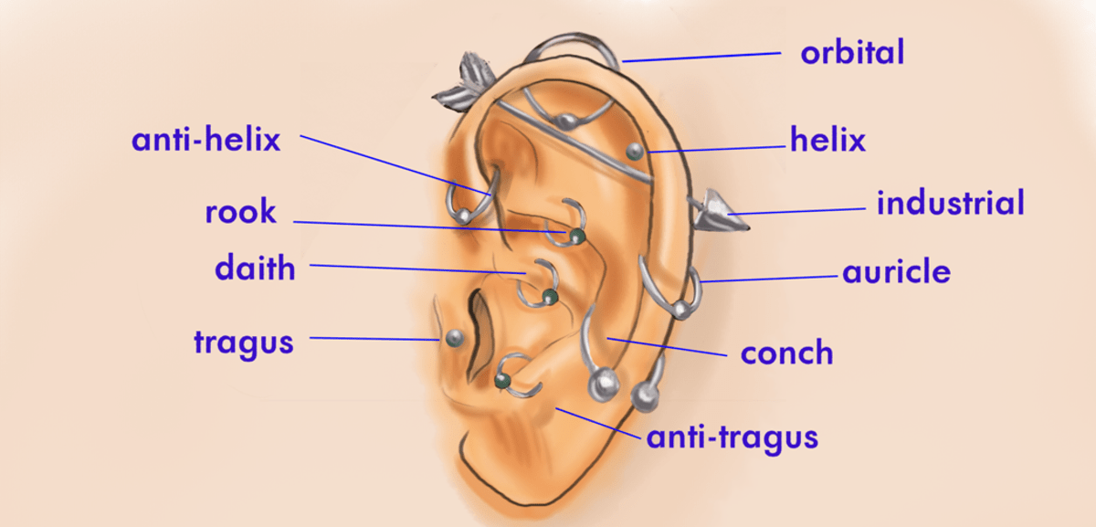 Ear and Nose Cartilage Piercings Pain and Care TatRing