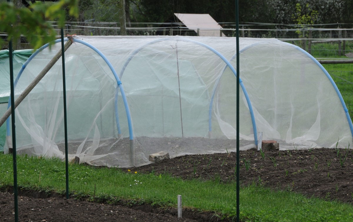 Helpful Tips and Advice for the Allotment Gardener HubPages