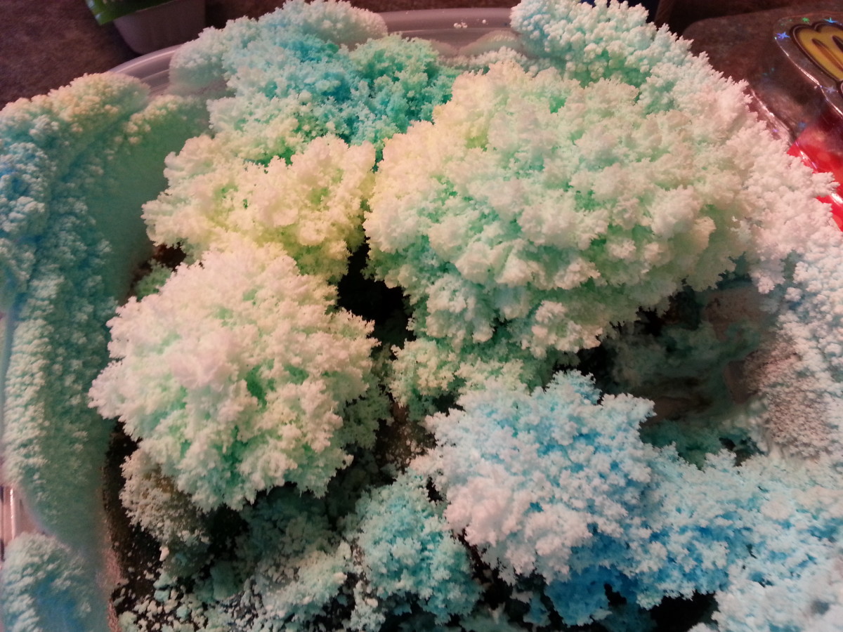 How to Make a Crystal Garden hubpages