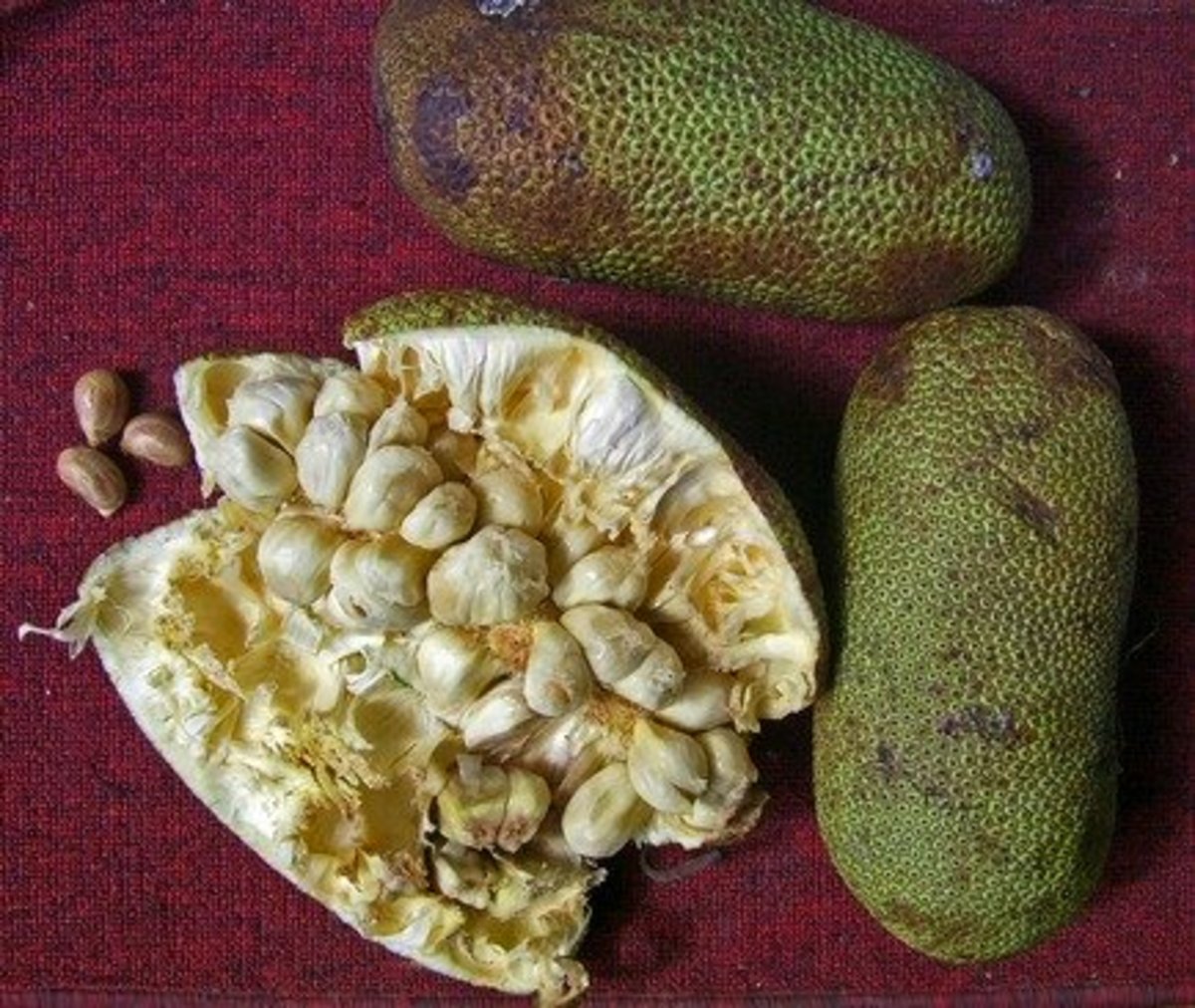 Popular Tropical Fruits of Malaysia Delishably
