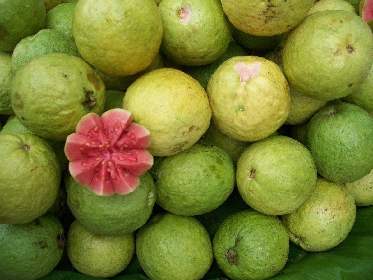 Popular Tropical Fruits of Malaysia Delishably