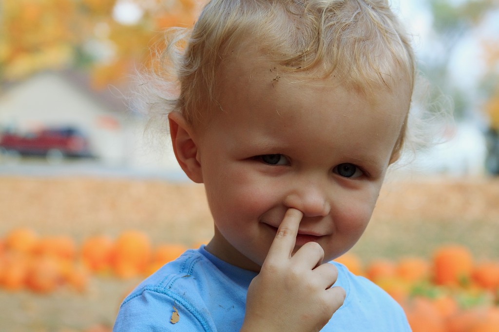 Picking Your Nose Just May Be Good For You... Seriously HubPages