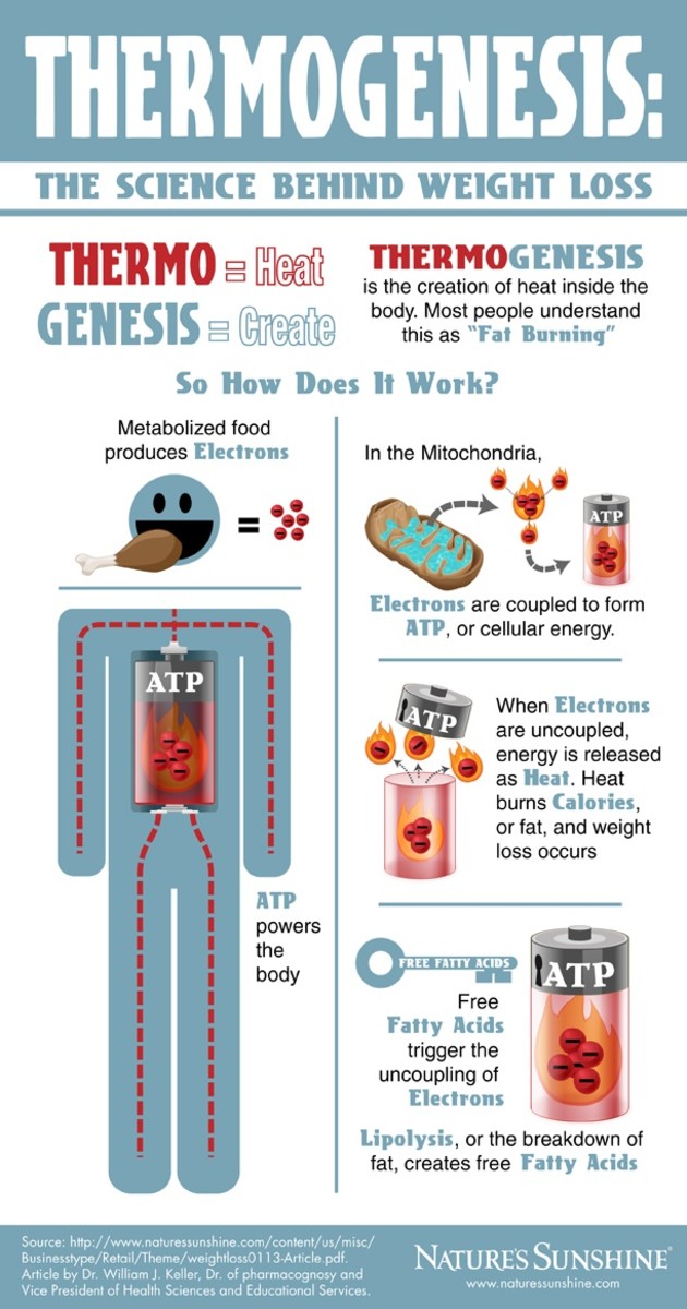 Review of Hell Fire and Other Hardcore Fat Burners CalorieBee