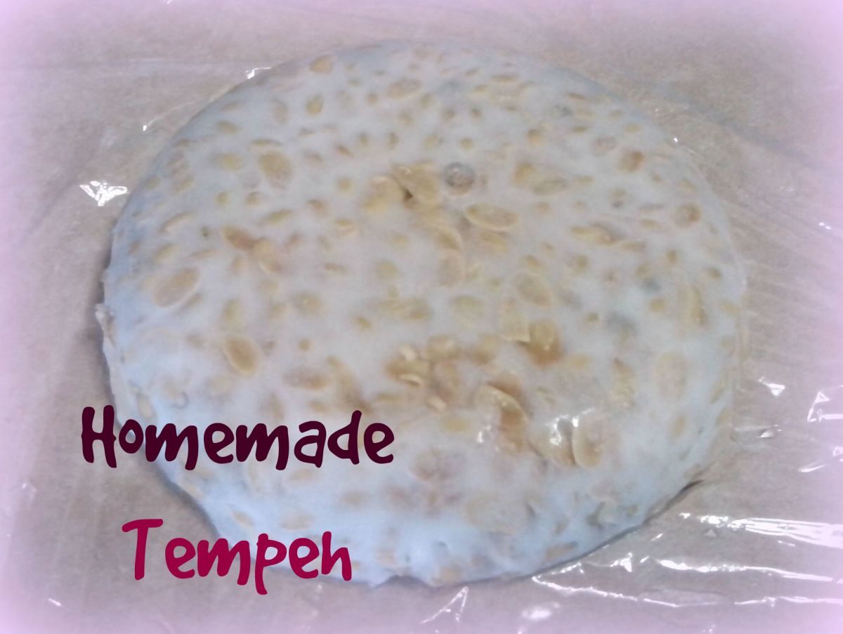 How To Make Your Own Tempeh Starter and Making Tempeh With Other Grains