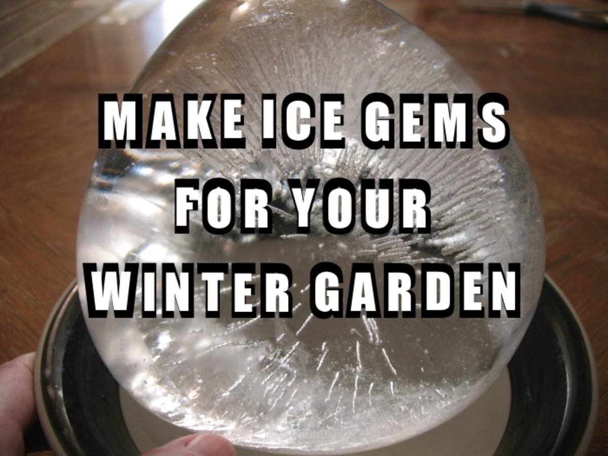 How to Make Decorative Ice Gems for Your Yard (With StepbyStep Images