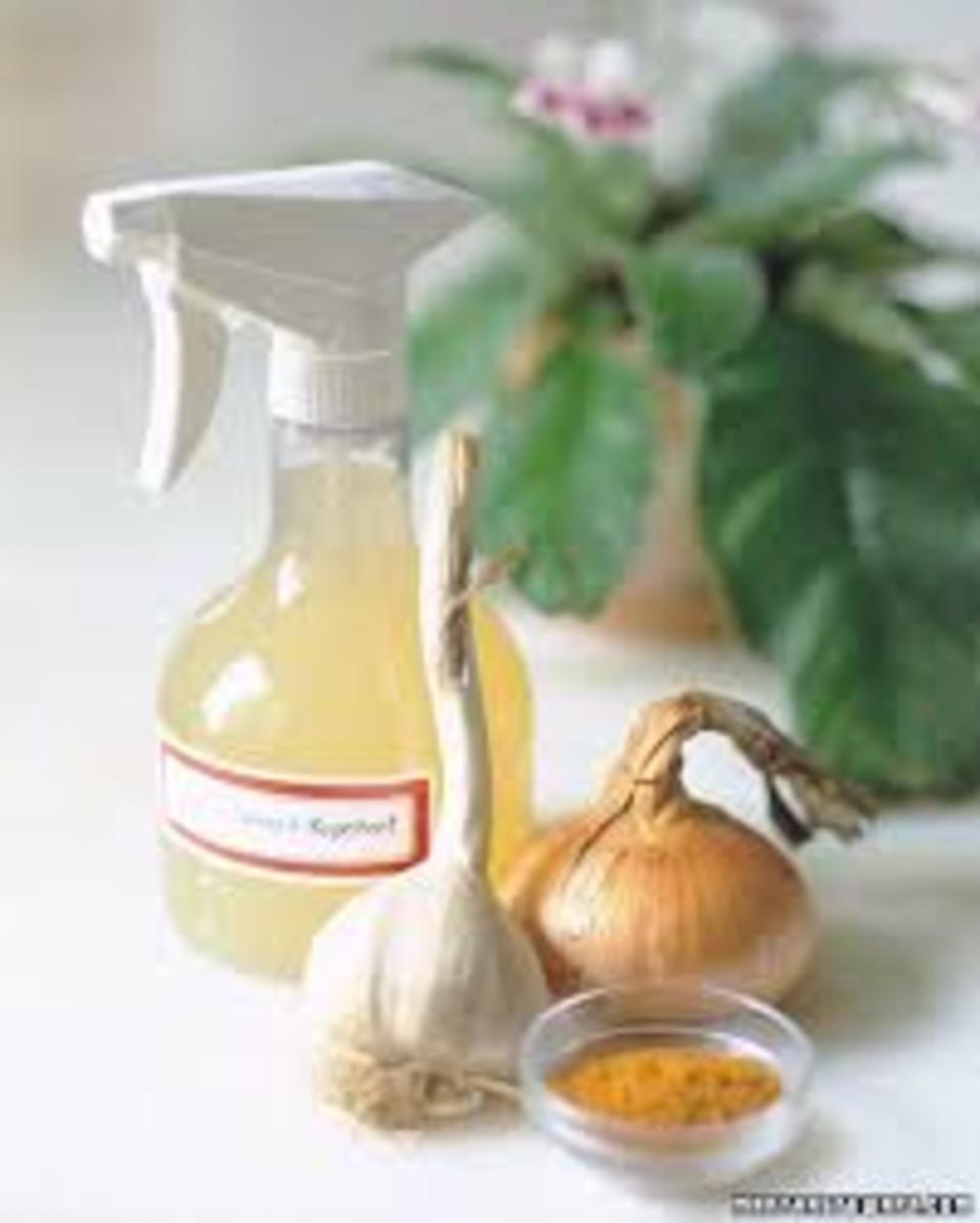 How to prepare Homemade Organic Pesticides HubPages