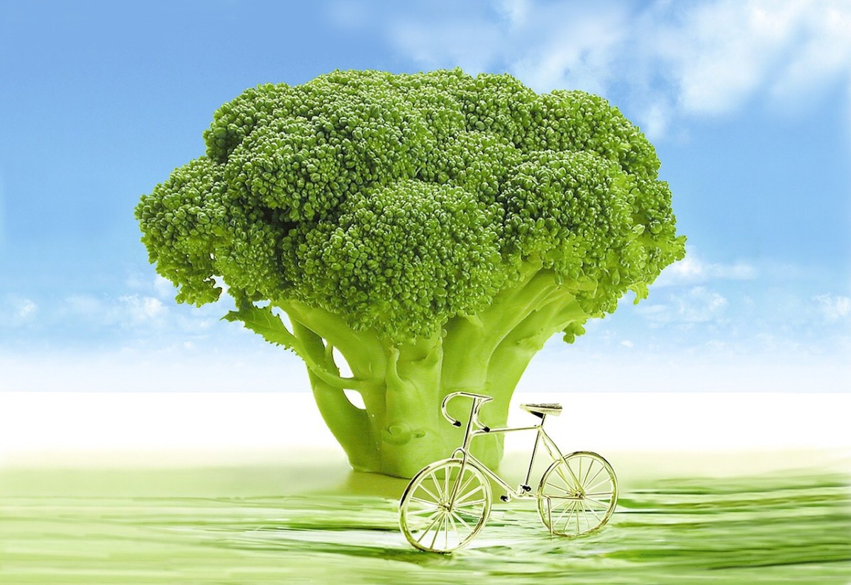 Broccoli A Superfood Vegetable With Great Health Benefits CalorieBee