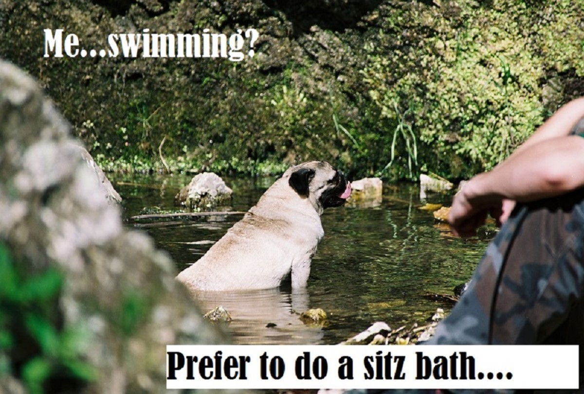 How to use the Ear BandIt Ear plug Headband System for Swimmers HubPages