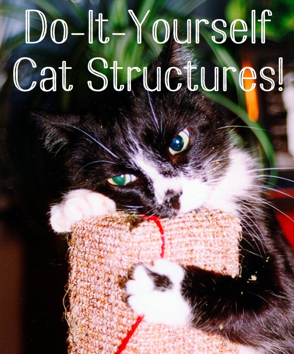 Make Your Own Cat Trees, Towers, and Other Structures