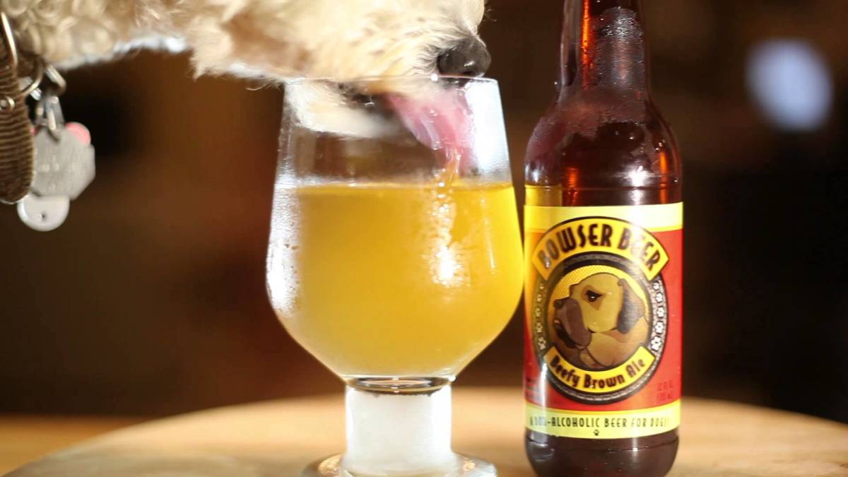 50 Dog Names for Beer Lovers PetHelpful