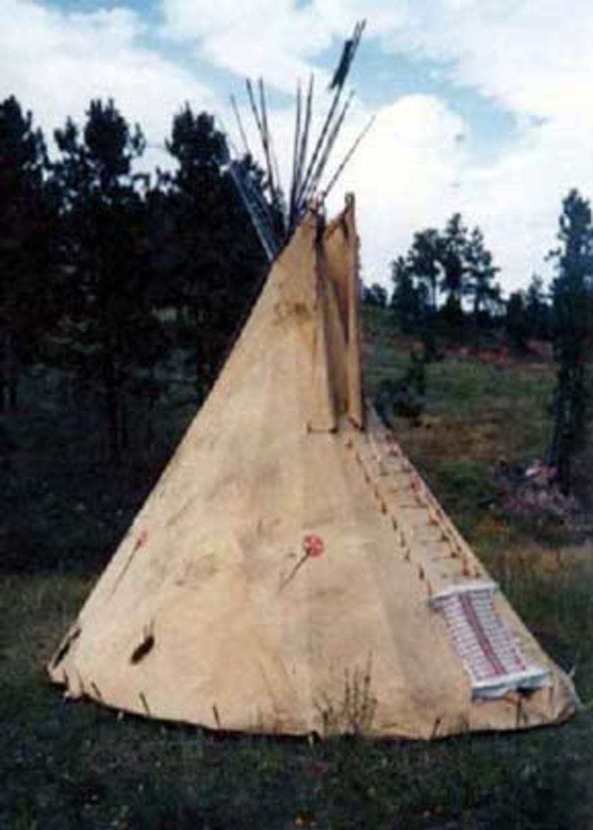 The Iconic American Bison HubPages