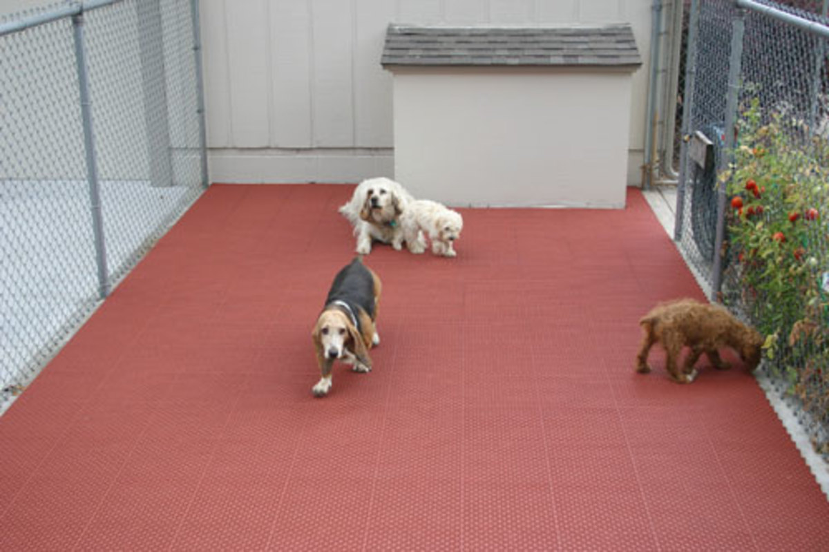 Dog Kennel and Run Flooring HubPages