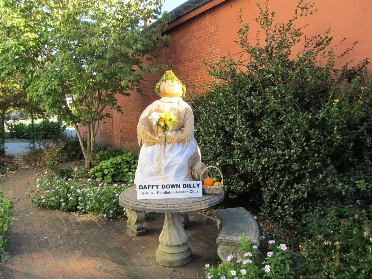 Pendleton Garden Club HubPages