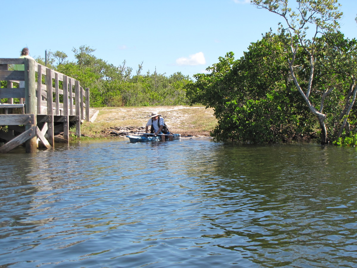 Kayaking the Anclote River Park Holiday, Florida HubPages
