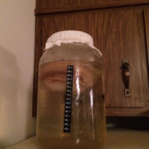 Getting Started with Home Brewing