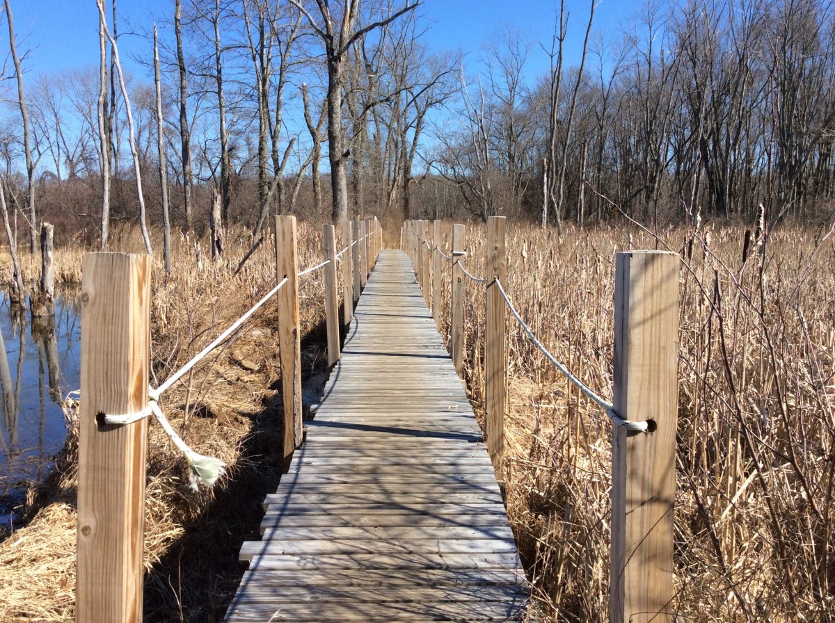 Hiking in the Fannie Stebbins Memorial Wildlife Refuge Longmeadow