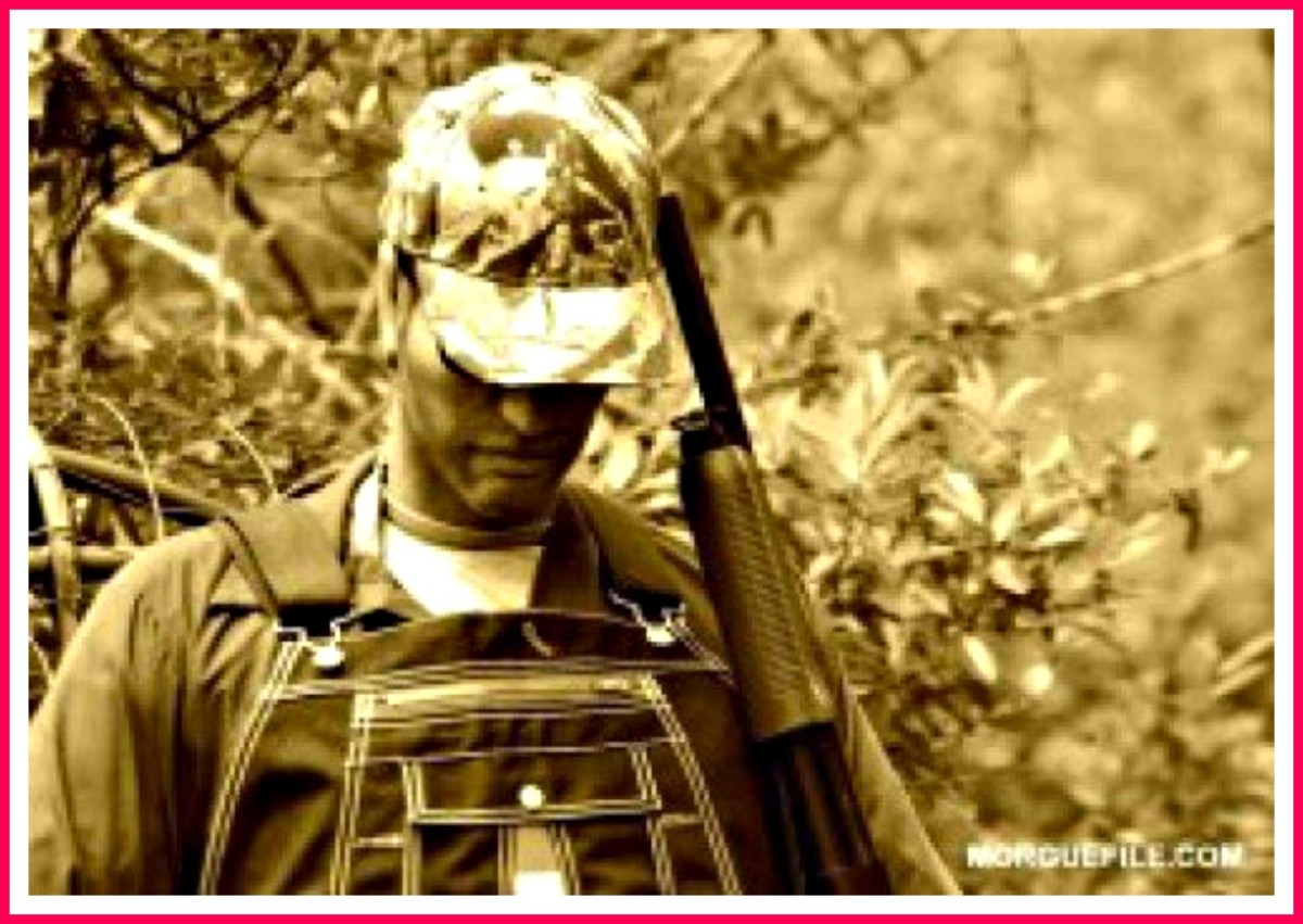 Is It Legal to Carry a Gun When I Travel in My RV? AxleAddict