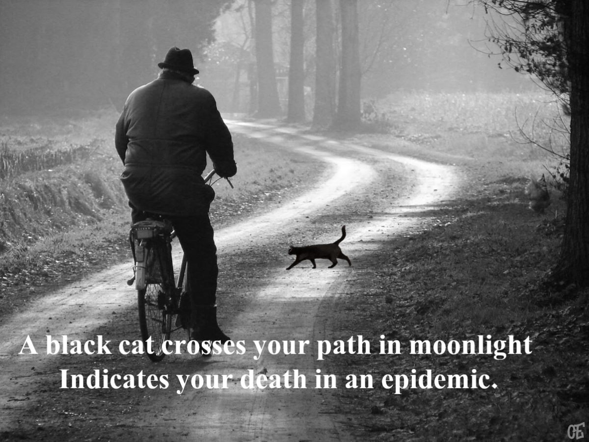 20 Superstitions About Black Cats HubPages