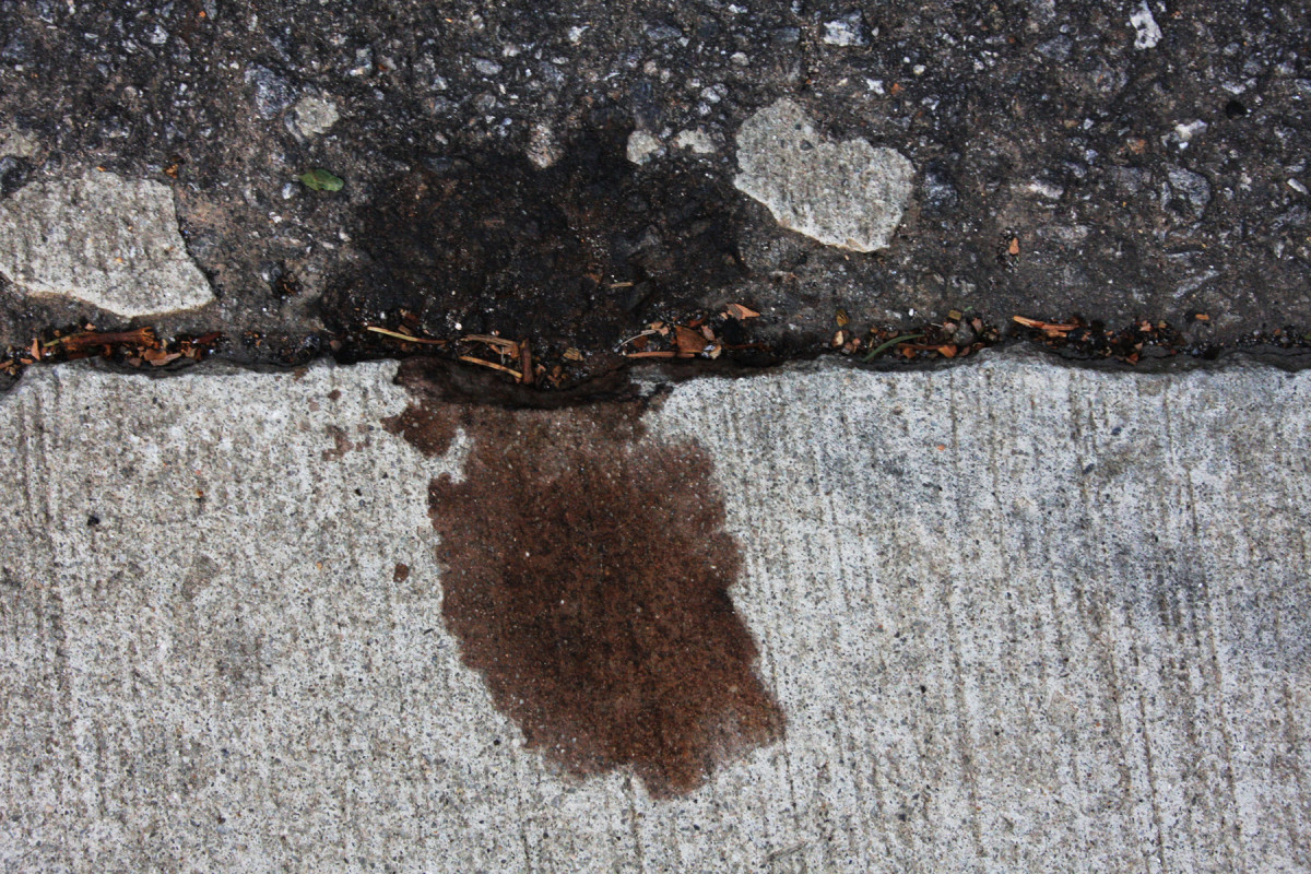 How to Find an Oil Leak in Your Car AxleAddict