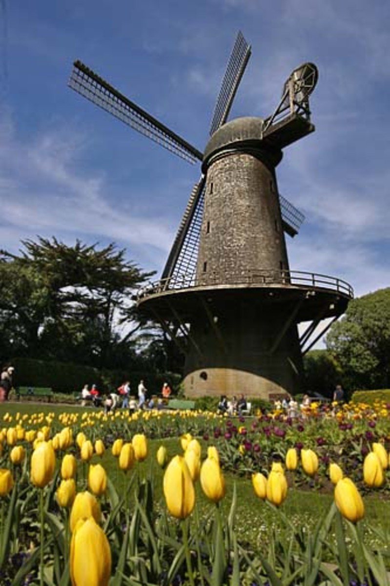 20 Things to See in San Francisco's Golden Gate Park HubPages
