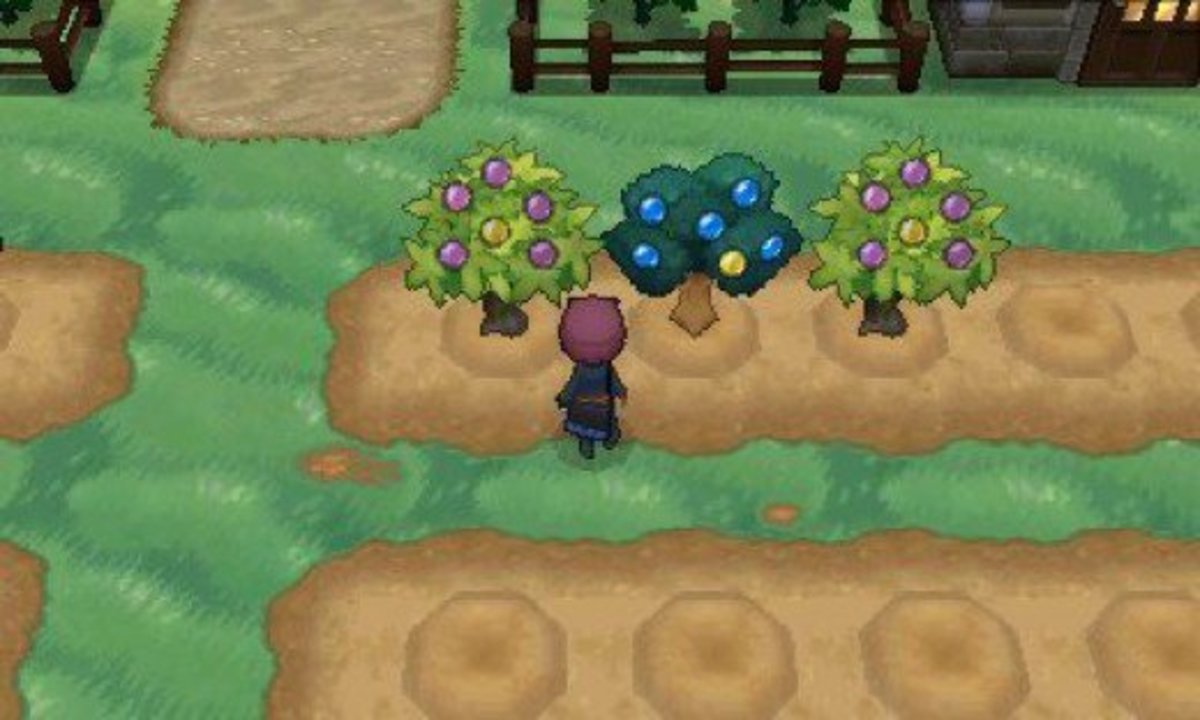 Pokemon X and Y Postgame Walkthrough LevelSkip