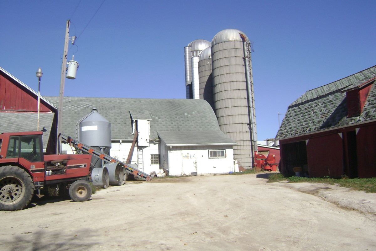 Working on a Dairy Farm in Wisconsin HubPages