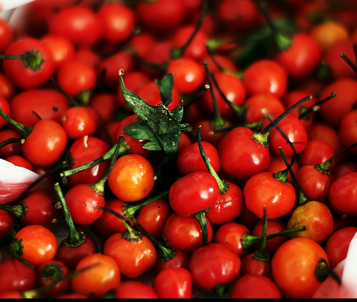 The Heat Is On The Guyana Pepper Sauce hubpages