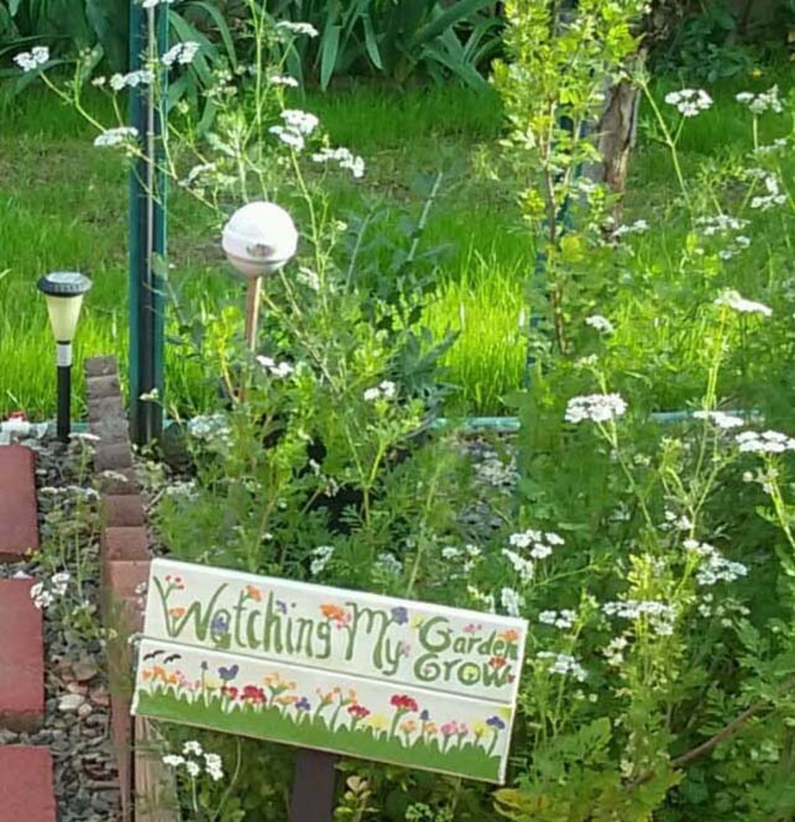 Best Organic Mosquito Yard Spray at Bonnie Padgett blog