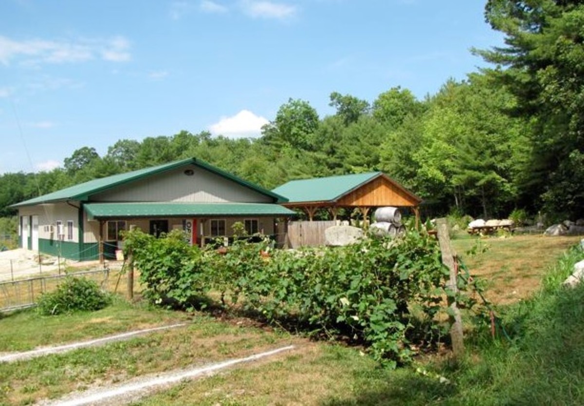 Wine Tasting in the Pioneer Valley of Western Massachusetts WanderWisdom