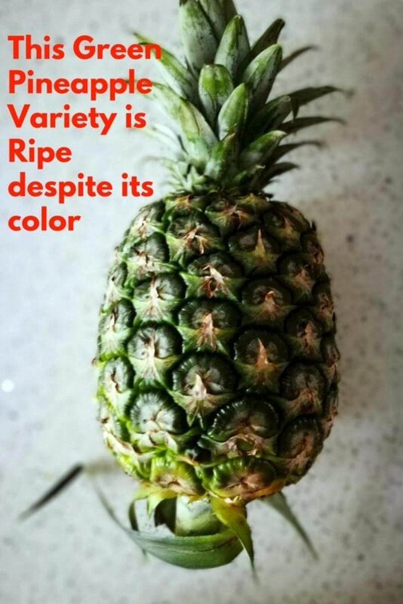 How to Plant & Grow Pineapple Top in 4 Easy Steps (With Photos) Dengarden